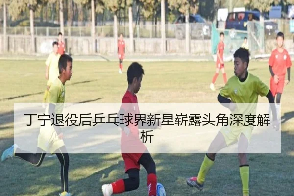 丁宁退役后乒乓球界新星崭露头角深度解析